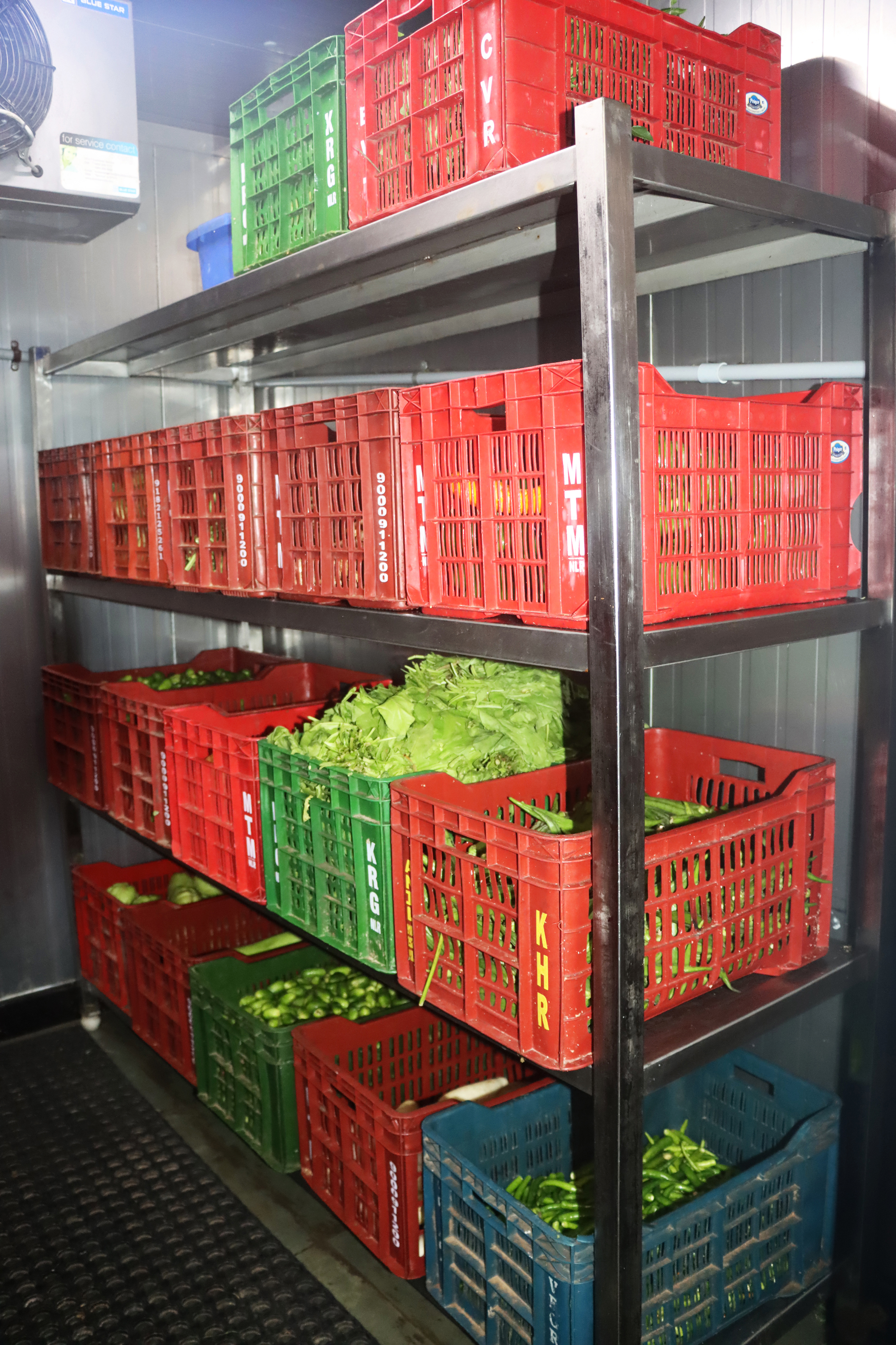 Cold storage